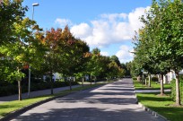 F�reningens egen startbild