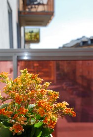 F�reningens egen startbild