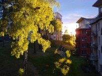 F�reningens egen startbild