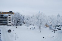 Föreningens egen startbild