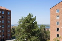 Föreningens egen startbild