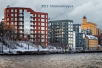 Föreningens egen startbild