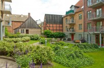 Föreningens egen startbild