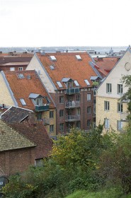 Föreningens egen startbild