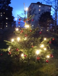 Föreningens egen startbild