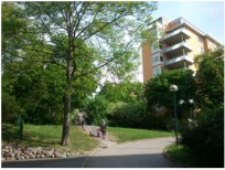Föreningens egen startbild
