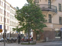 Föreningens egen startbild