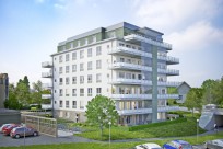 Föreningens egen startbild