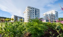 Föreningens egen startbild