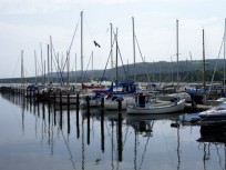 Föreningens egen startbild